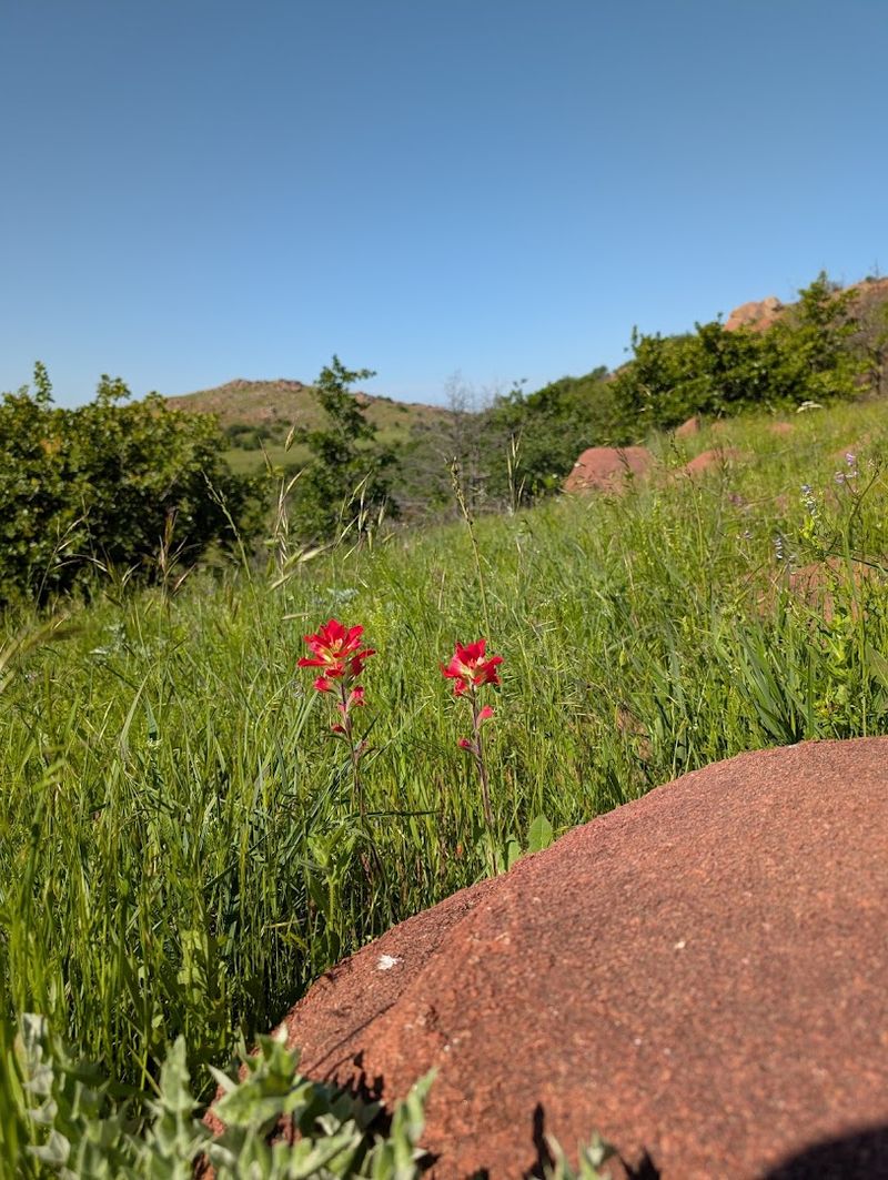 Why This Place Feels Unlike Typical Oklahoma Scenery