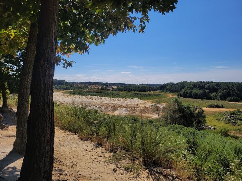 Planning Your Visit to Blueberry Hill Trail