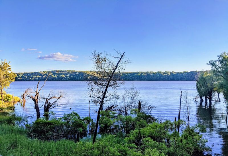 Whitehorn Cove Is Its Own Little Universe