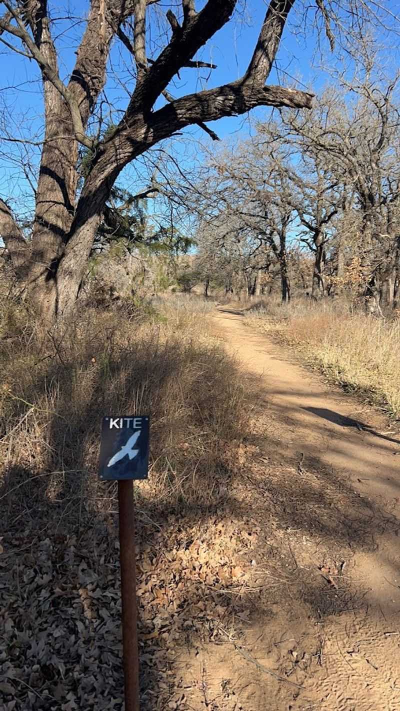 Navigation Is Part of the Adventure