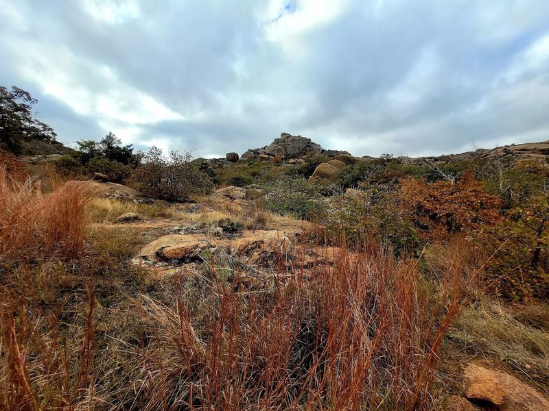 What to Bring So the Mountain Treats You Right