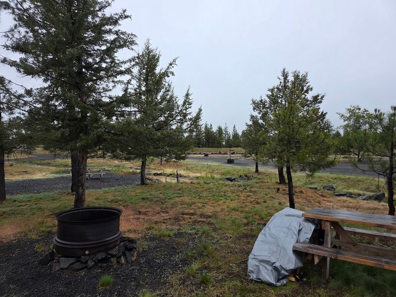 The Facilities Are Cleaner Than You Would Expect