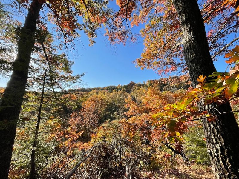 Seasonal Beauty That Transforms the Trail All Year Long