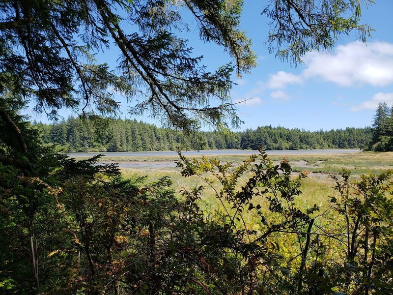 The Estuary Ecosystem Up Close