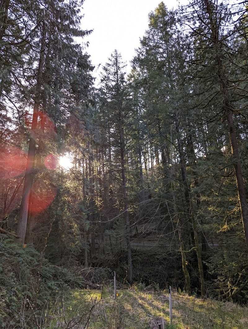 The Steep Climb Back Up