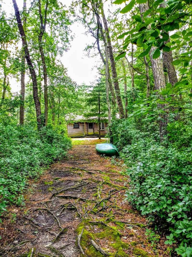 Cabin Stays That Put You Right in the Pines