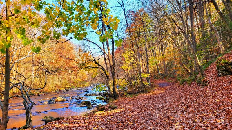 The River Road Trail: A Raw and Scenic Walk Close to the Water
