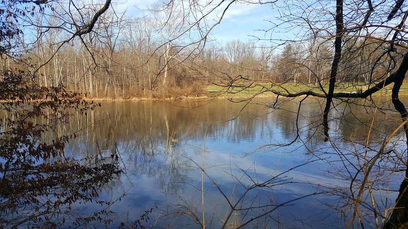 Fishing at a Stocked Pond With a Floating Dock