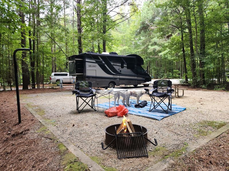 Camping Under the Stars at the Campground