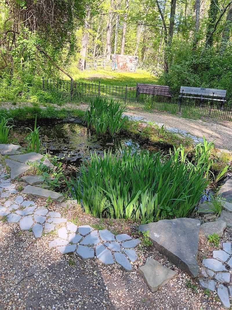 The Frog Ponds and Creek Side Magic