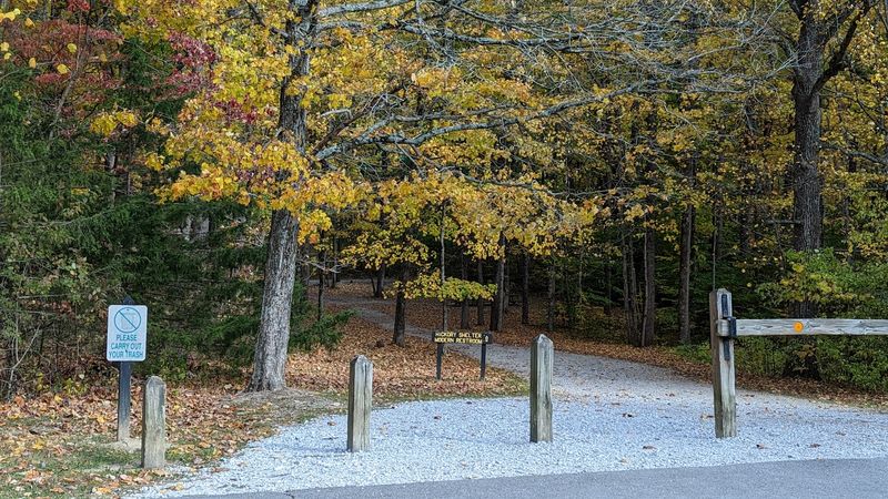 Camping Under Dark Skies and Exploring the Area Around Waveland