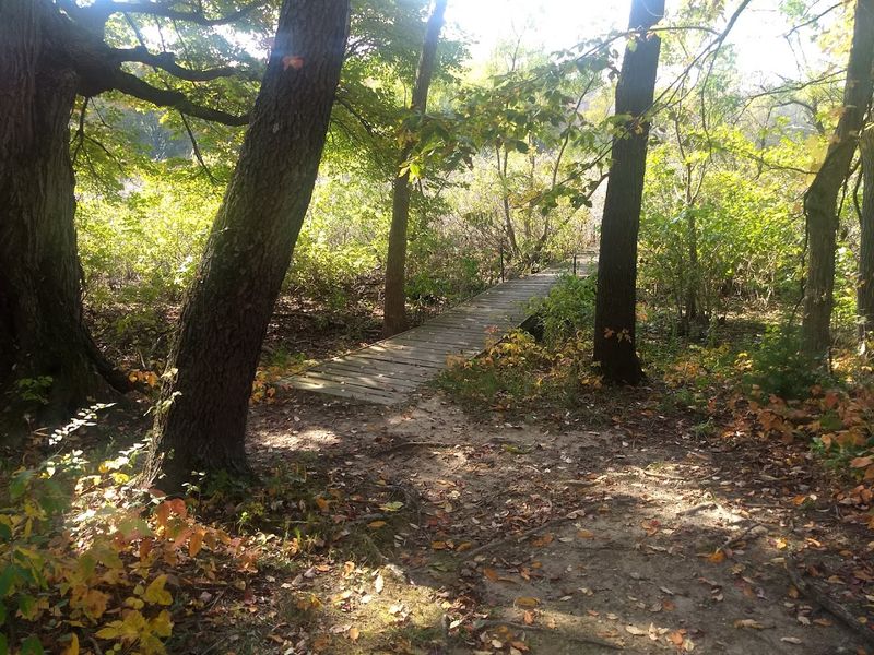 An Accessible Trail That the Whole Family Can Handle