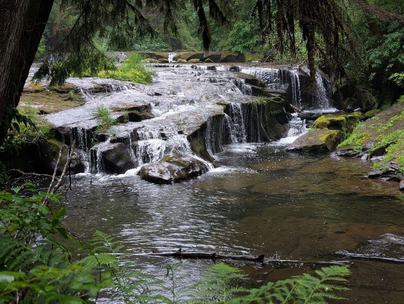 Best Times to Visit and Practical Tips