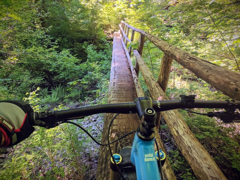 Mountain Biking: The Trail's Two-Wheeled Personality