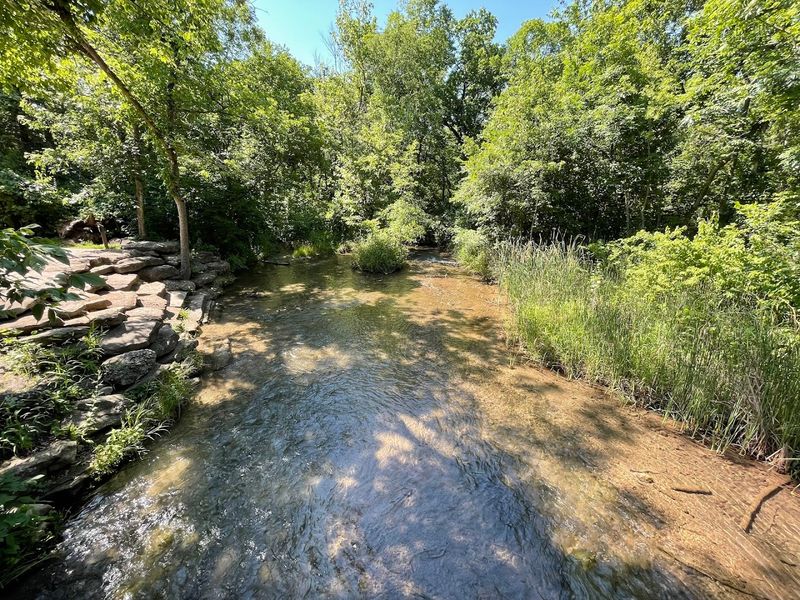 Visiting With Kids and Pets Makes It Even Better