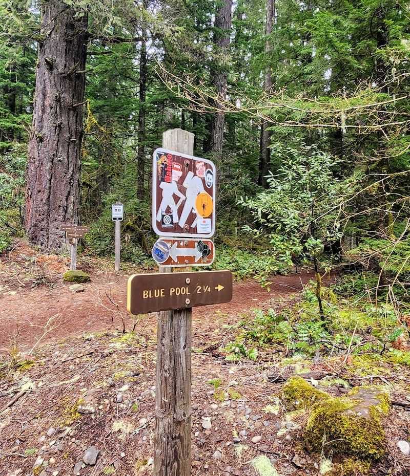 Practical Tips for First-Time Visitors