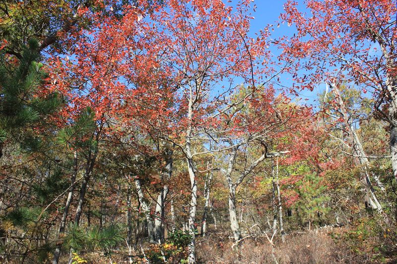 Practical Tips for Hiking the Stairway to Heaven Trail
