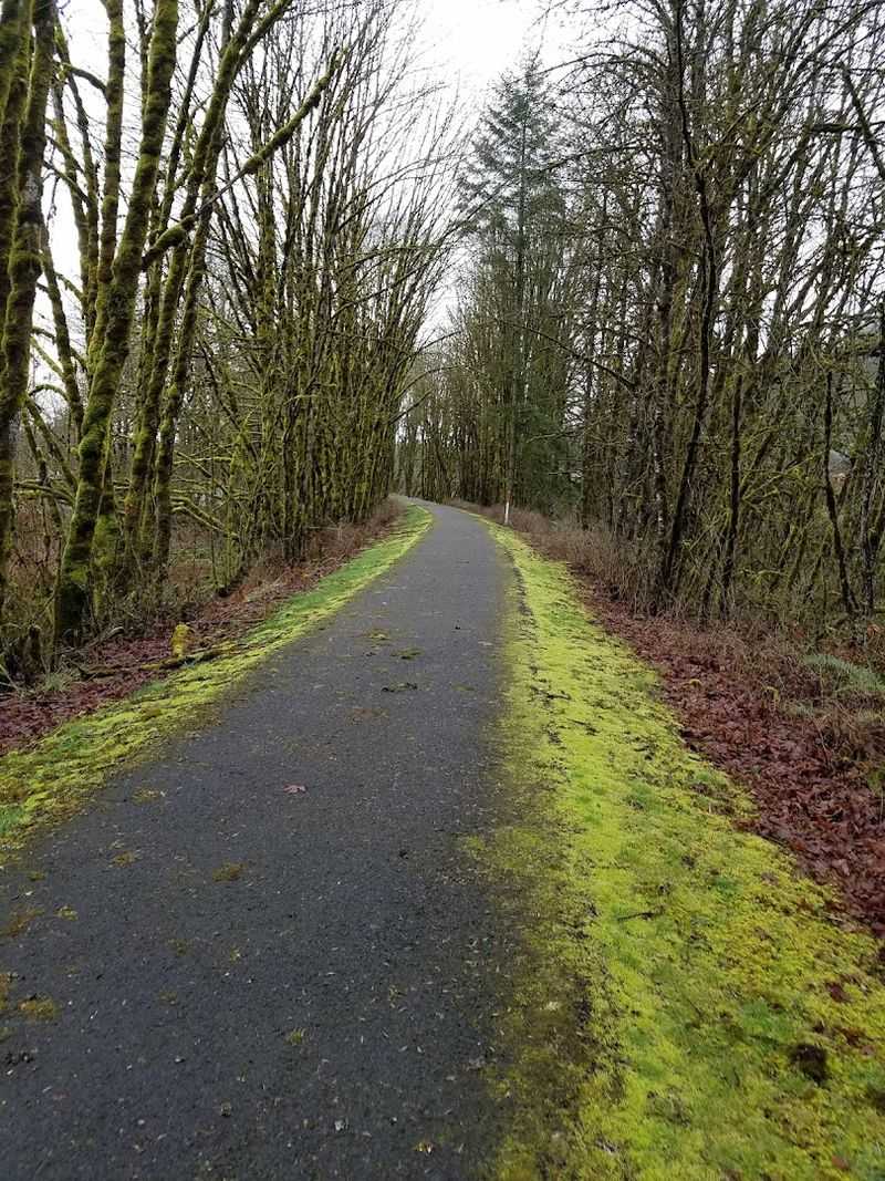 Best Seasons to Visit the Trail