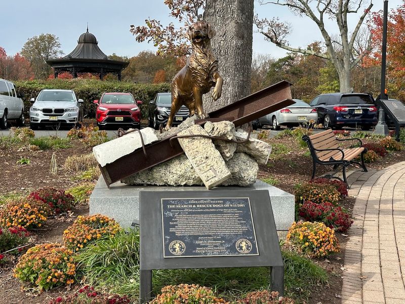 Accessibility and Parking: Getting There Without the Headache