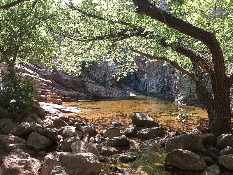 Packing Smart Changes Everything on This Trail