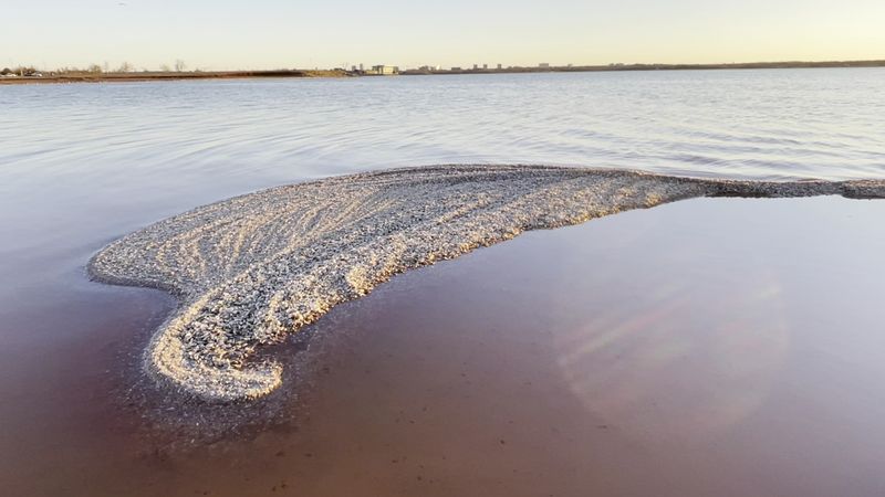 The Lake's Role As Oklahoma City's Water Supply