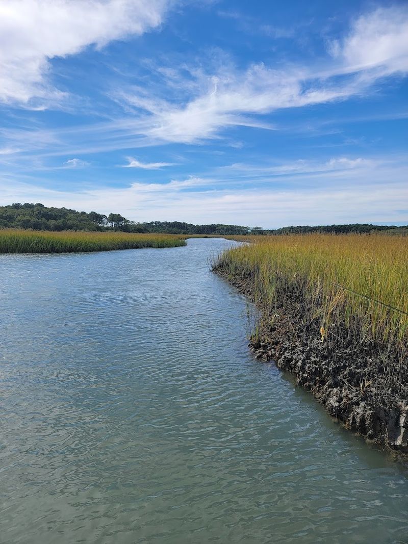 Salt Marshes, Freshwater Ponds, and Coastal Habitats