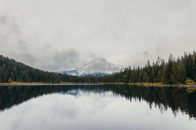 Photography Tips for Capturing the Perfect Shot