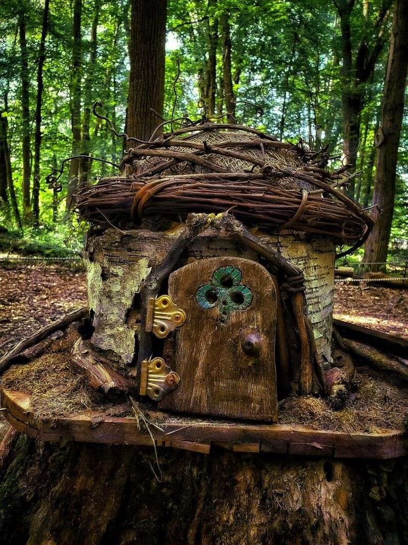 The Fairy Garden That Belongs in a Storybook