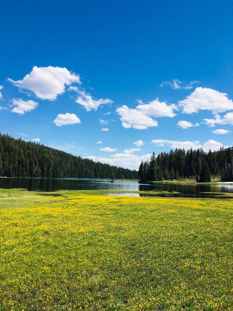 Mosquito Awareness and Practical Visitor Tips