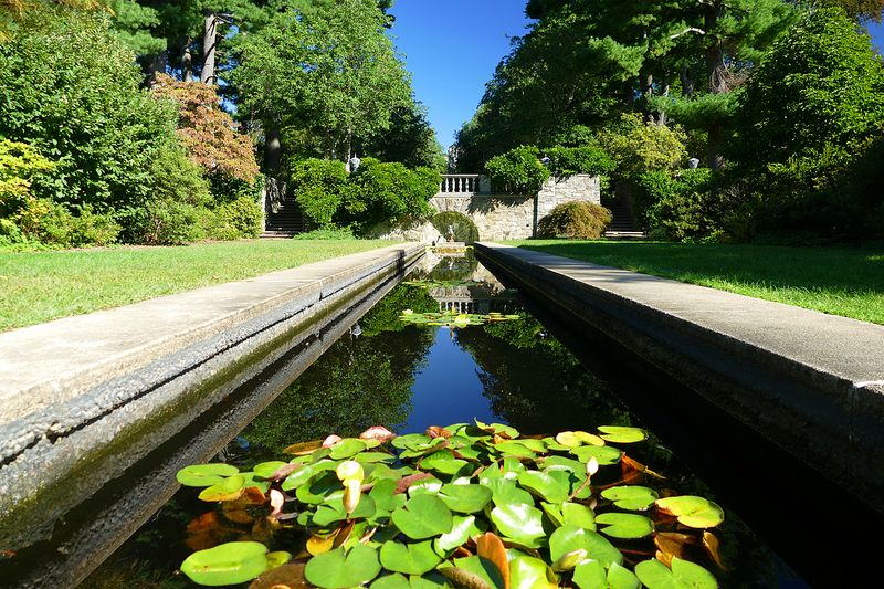 The Japanese Garden and Its Quiet, Reflective Beauty