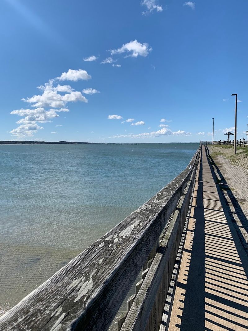 The Lighted Fishing Pier and What Lurks Below