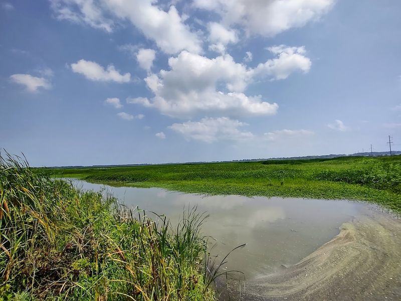 Nearly 9,000 Acres of Restored Wetland and Prairie Habitat