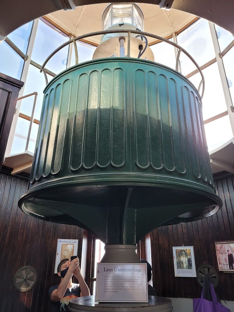 The Visitor Center and Nature Museum: Small Room, Big Curiosity