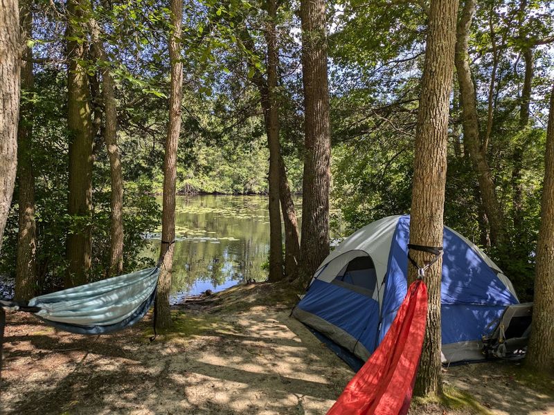 Belleplain State Forest