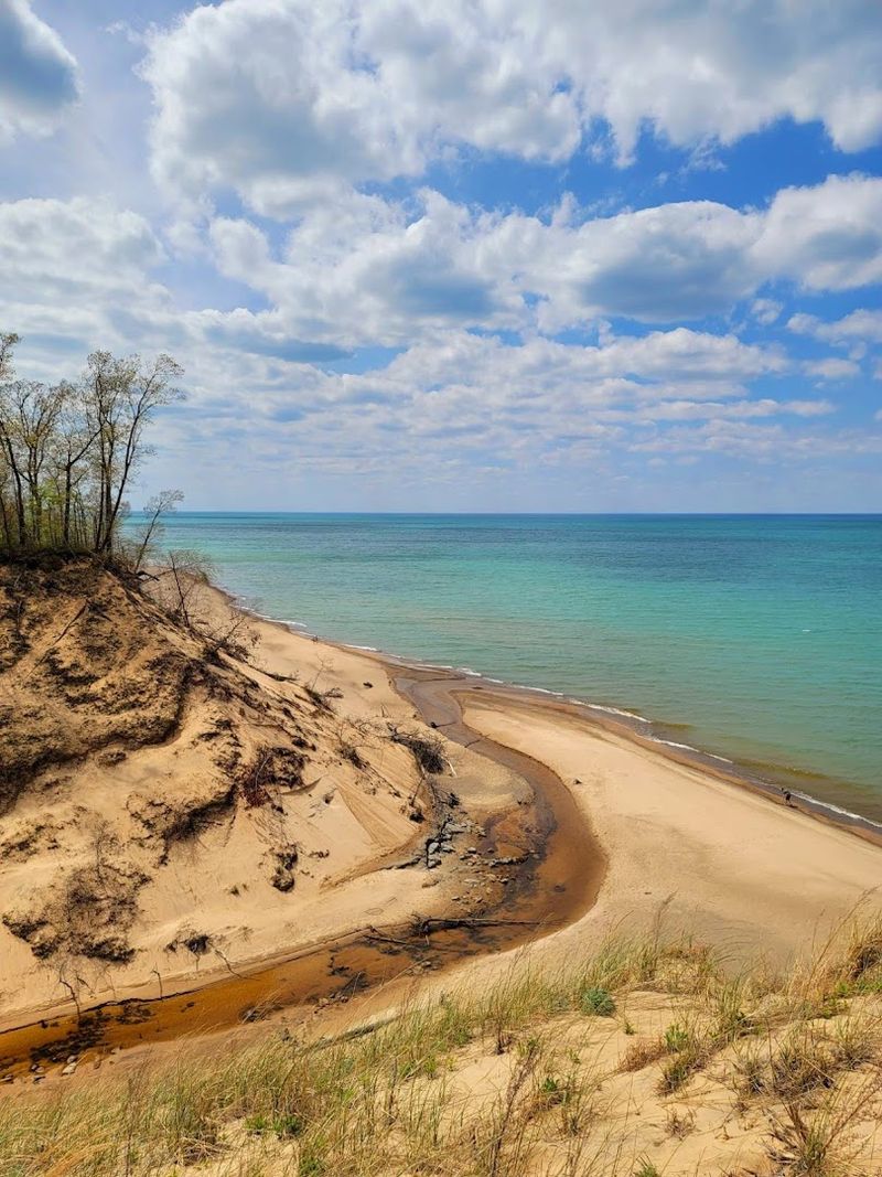 An Unexpected Window Into Dune Science and Natural History