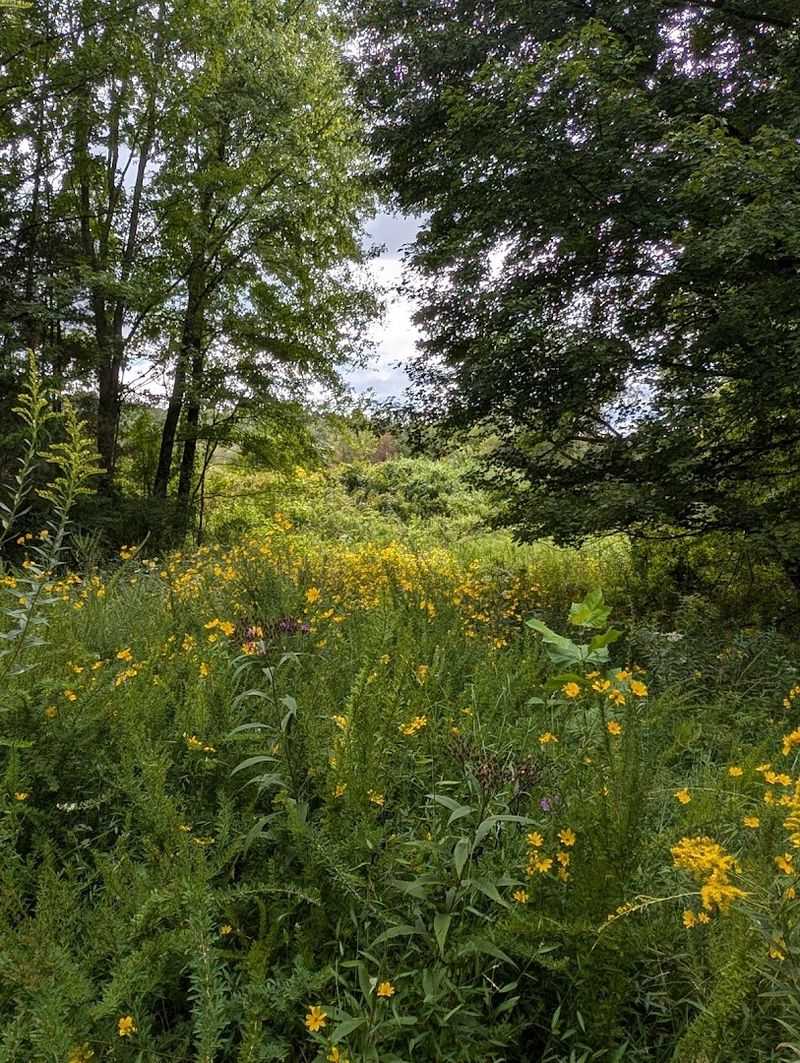 Nearby Seymour Adds Easy Stops Before or After Your Visit