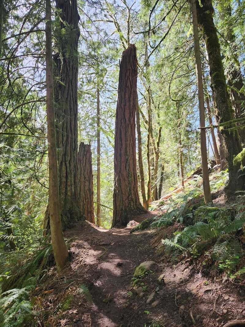 The Paved Trail That Pulls You In