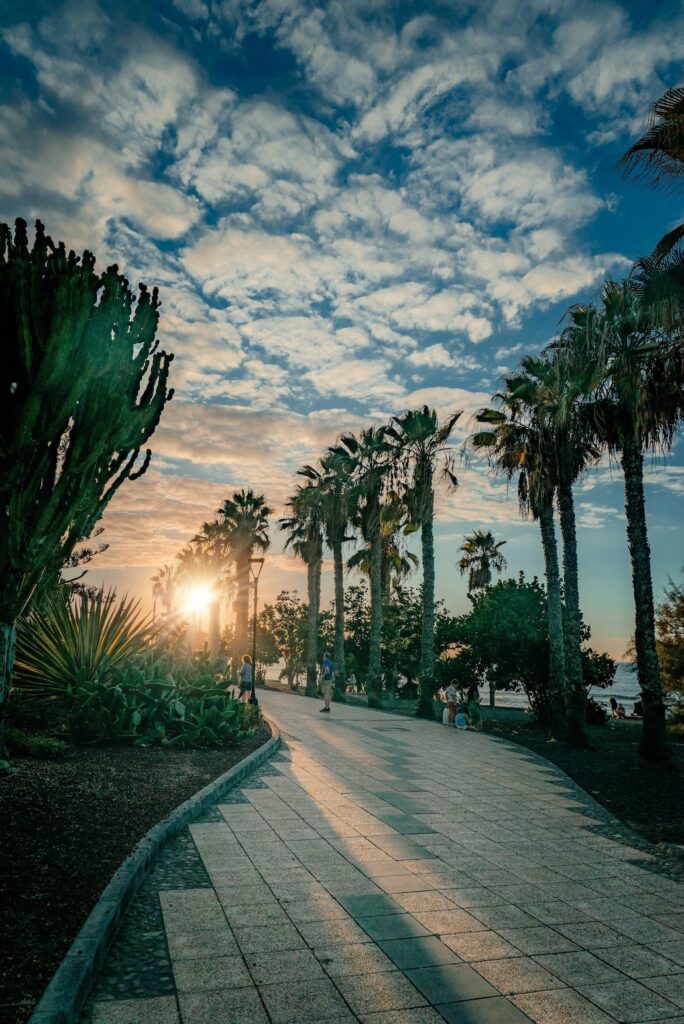 Enjoy gorgeous sunsets from the Atlantic Oceanfront promenade. c. freestockpro for pexels.