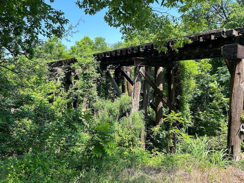 The Bridge: Where the Park Experience Actually begins