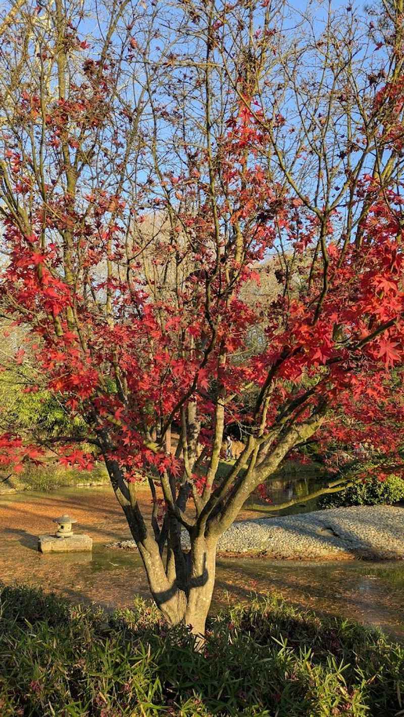 Stroll the Gardens at Maymont (Richmond)