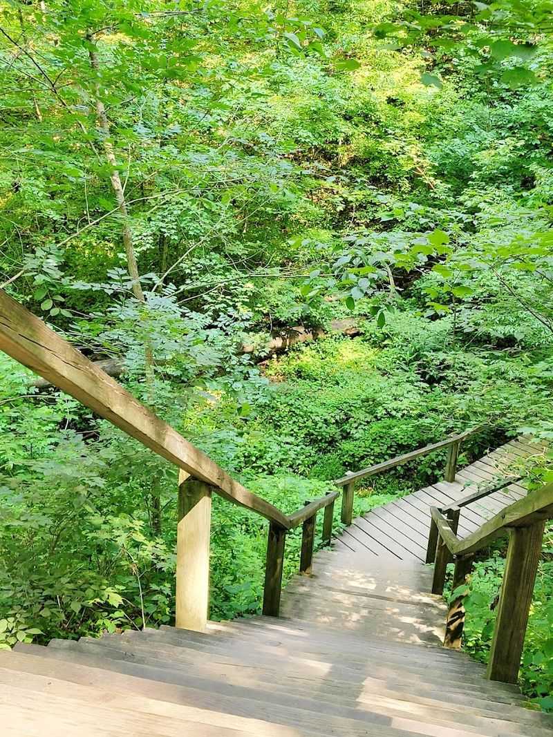 Trail #3 (The Ladders Trail), Turkey Run State Park