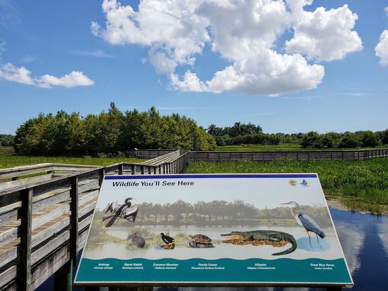 The Nature Center And Its Educational Exhibits