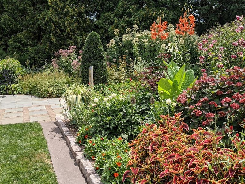 Over 3,200 Plant Species Waiting to Surprise You