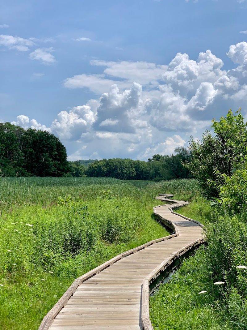Appalachian Trail Boardwalk (Pochuck Valley)