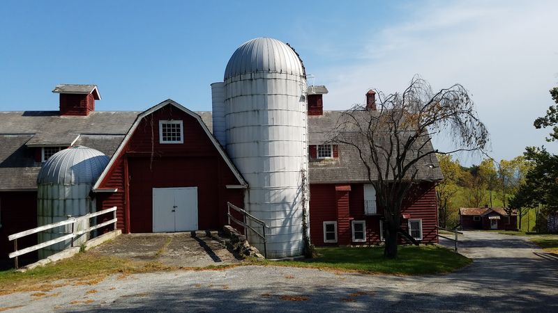 The Barn Sales: Treasure Hunting With a Purpose