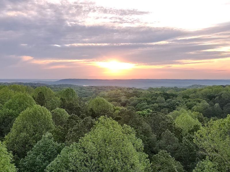 Indiana's Only Designated Wilderness Area