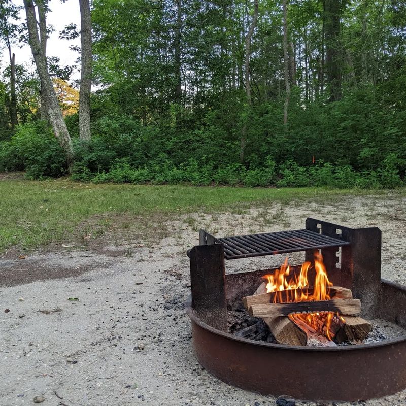 Camping Under the Stars in the Heart of the Pines