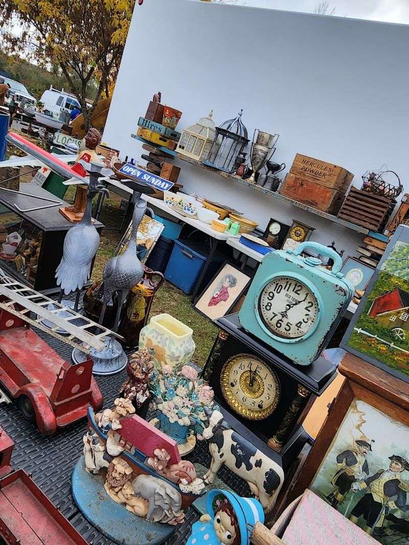 The Incredible Range of Things You Can Find