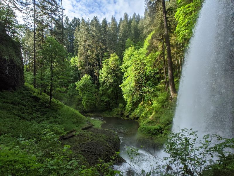Silver Falls State Park, Willamette Valley, Oregon