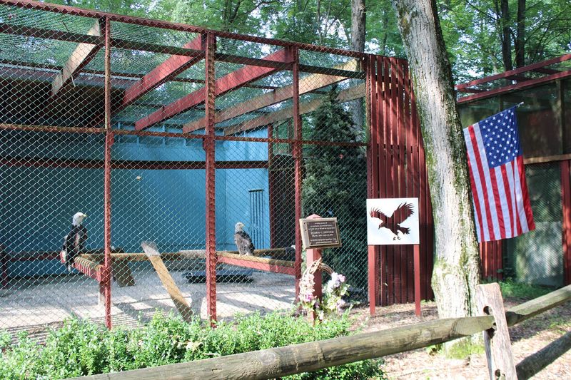 The Raptor Trust (Millington)